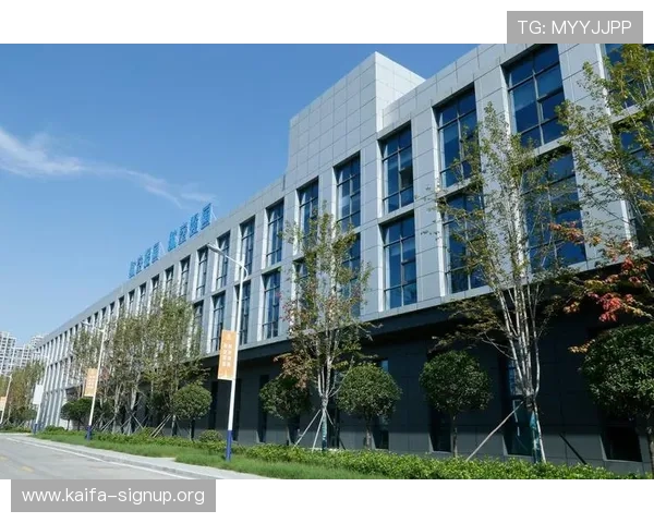 凯发旗舰网站怎么样啊，网站界面设计是否人性化用户操作体验全面评估